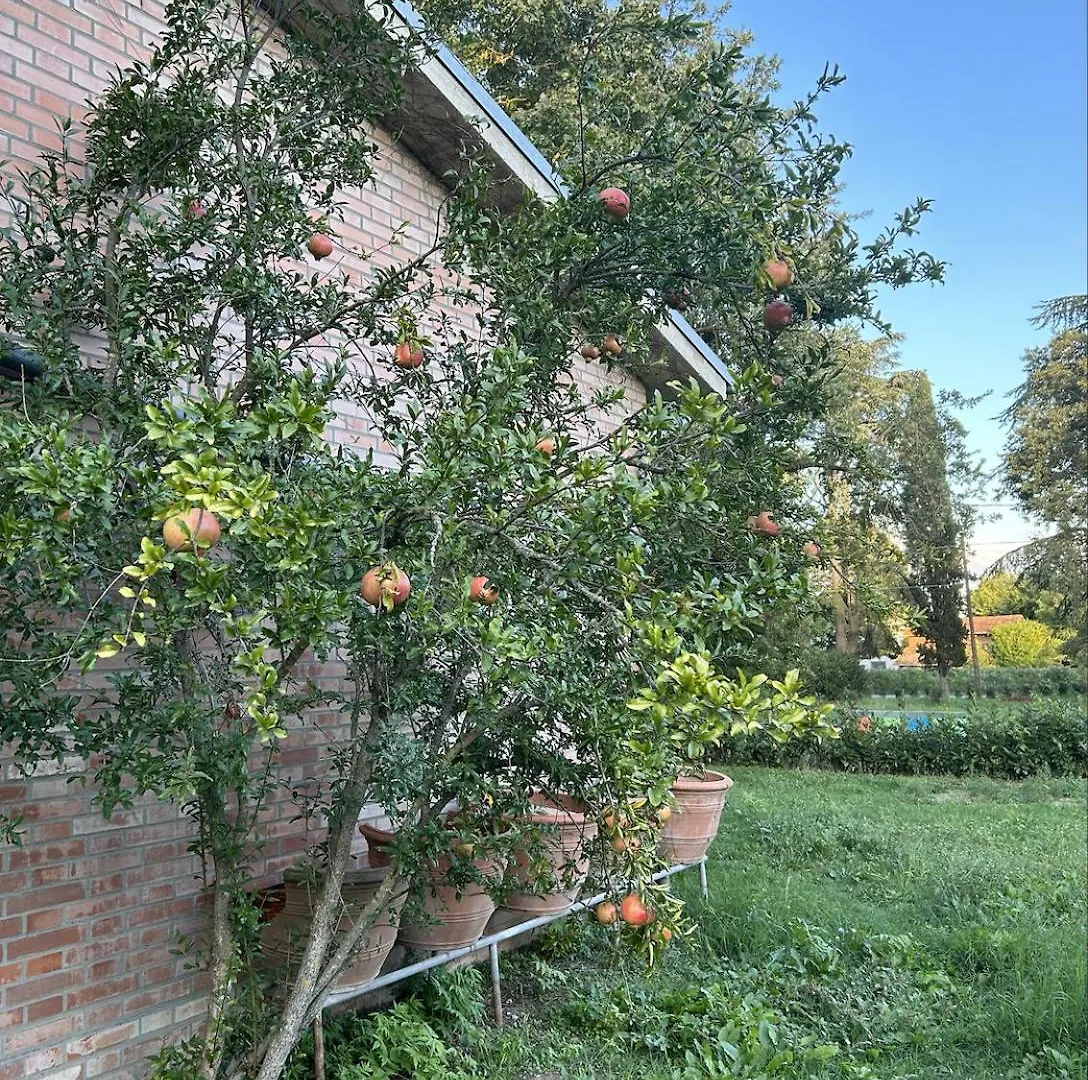 Apartment La Marana Dimora Storica Appartamento Nord - Imola F1